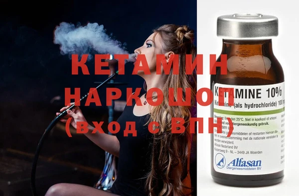 гидра Абаза